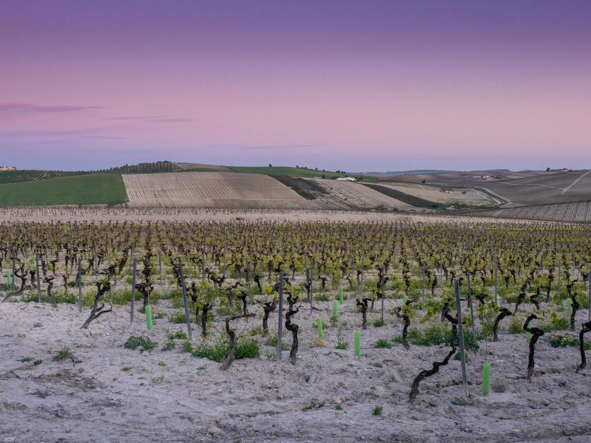 La Ermita Fjhomefj Jerez de la Frontera Buitenkant foto